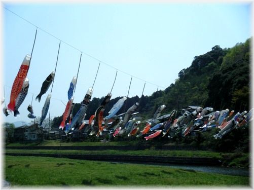 松江市八雲町川渡しこいのぼり